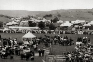 The Bangalow Show - Bangalow Locals