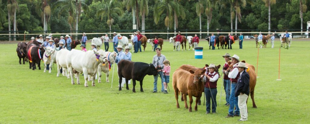 Bangalow Businesses, Shops, Restaurants, Professionals